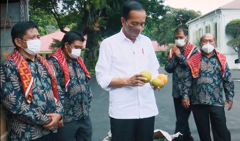 Presiden Jokowi menerima langsung oleh-oleh jeruk dari petani tanah Karo
