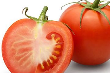 Fakta Unik Buah Tomat Tanpa Biji