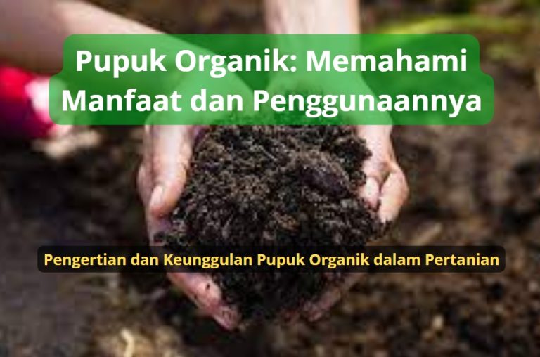 Pupuk Organik: Memahami Manfaat dan Penggunaannya